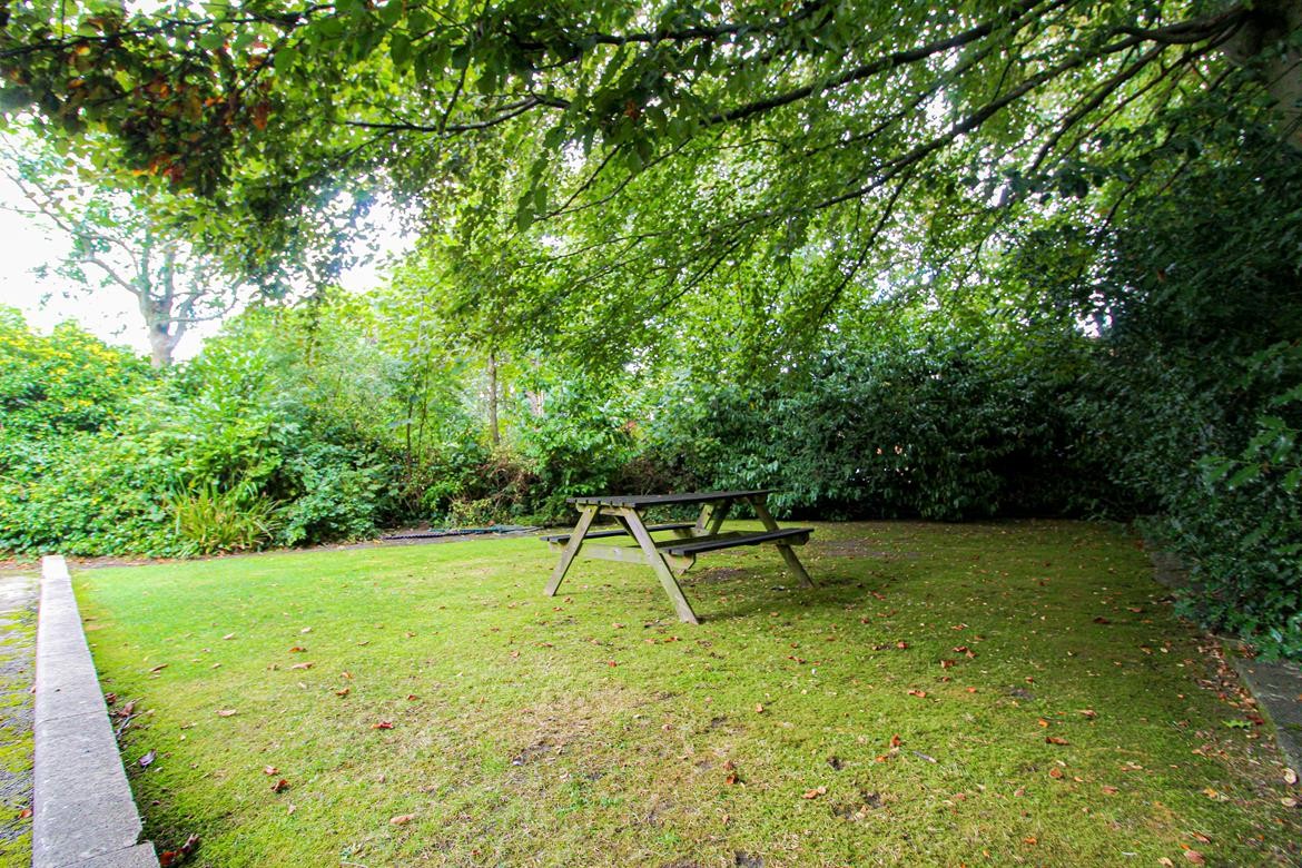 Images for Lapwing Lane EAID:20966 BID:20966